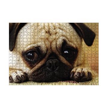 Cakapuzzle Pug Cinsi Köpek 120 Parça Ahşap Puzzle
