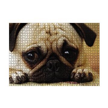 Cakapuzzle Pug Cinsi Köpek 120 Parça Ahşap Puzzle