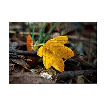 Cakapuzzle Rengi At Çiçekler Arasında Koşarken120 Parça Puzzle