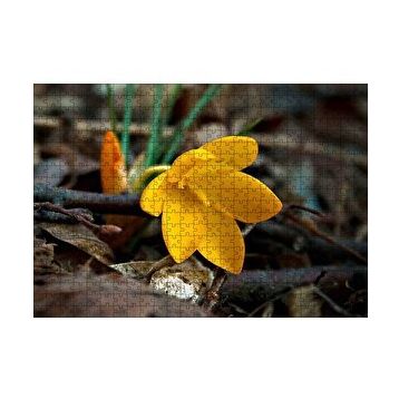 Cakapuzzle Rengi At Çiçekler Arasında Koşarken120 Parça Puzzle