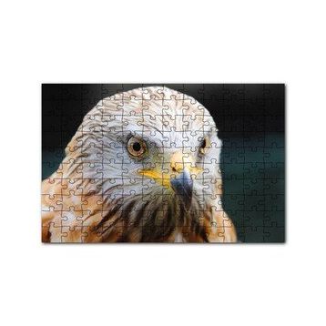 Cakapuzzle Şahin Keskin Gözler Yakın Çekim 120 Parça Ahşap Puzzle