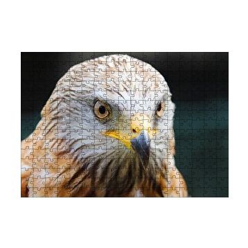 Cakapuzzle Şahin Keskin Gözler Yakın Çekim 120 Parça Ahşap Puzzle