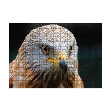Cakapuzzle Şahin Yakın Çekim 120 Parça Ahşap Puzzle