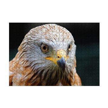 Cakapuzzle Şahin Yakın Çekim 120 Parça Ahşap Puzzle