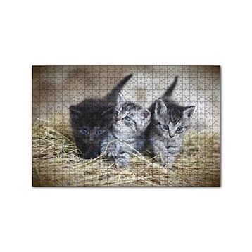 Cakapuzzle Samanlar Arasında Mavi Gözlü Üç Yavru Kedi 120 Parça Ahşap Puzzle
