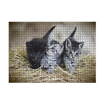 Cakapuzzle Samanlar Arasında Mavi Gözlü Üç Yavru Kedi 120 Parça Ahşap Puzzle