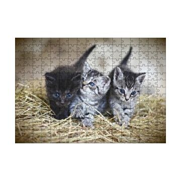 Cakapuzzle Samanlar Arasında Mavi Gözlü Üç Yavru Kedi 120 Parça Ahşap Puzzle