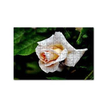 Cakapuzzle Sarı Beyaz Gül Yakın Çekim 120 Parça Ahşap Puzzle