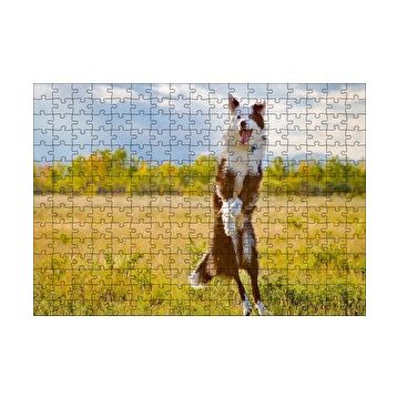 Cakapuzzle Sarı Çayırda Zıplayan Kahverengi Beyaz Köpek Yapboz MDF Puzzle