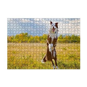 Cakapuzzle Sarı Çayırda Zıplayan Kahverengi Beyaz Köpek Yapboz MDF Puzzle
