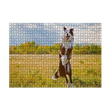 Cakapuzzle Sarı Çayırda Zıplayan Kahverengi Beyaz Köpek Yapboz MDF Puzzle