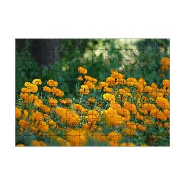 Cakapuzzle Sarı Çiçekli Çalılar Görseli 120 Parça Ahşap Puzzle