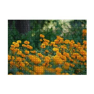 Cakapuzzle Sarı Çiçekli Çalılar Görseli 120 Parça Ahşap Puzzle