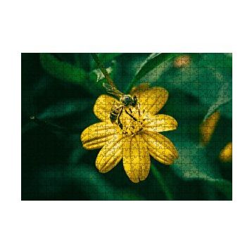 Cakapuzzle Sarı Çiçekten Polen Toplayan Arı 120 Parça Ahşap Puzzle