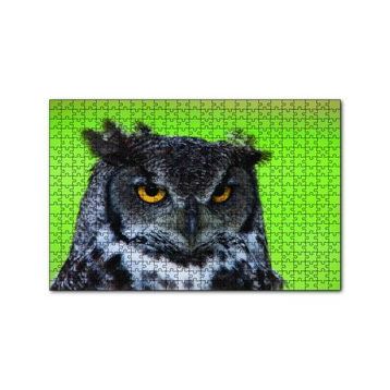 Cakapuzzle Sarı Gözlü Baykuş 120 Parça Ahşap Puzzle