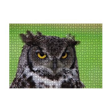 Cakapuzzle Sarı Gözlü Baykuş 120 Parça Ahşap Puzzle