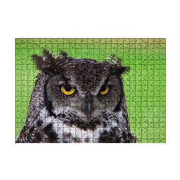 Cakapuzzle Sarı Gözlü Baykuş 120 Parça Ahşap Puzzle