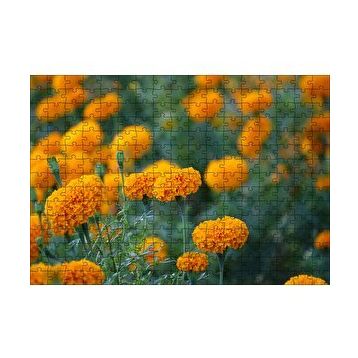 Cakapuzzle Sarı Karanfiller Görseli 120 Parça Ahşap Puzzle