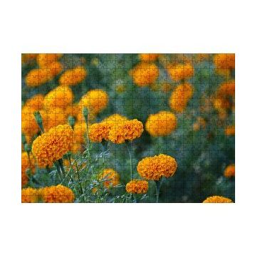 Cakapuzzle Sarı Karanfiller Görseli 120 Parça Ahşap Puzzle