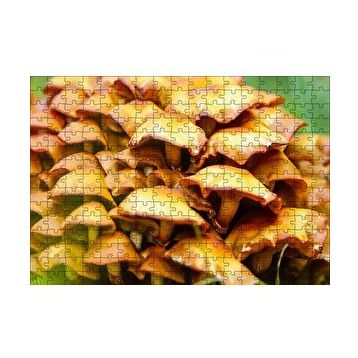 Cakapuzzle Sarı Mantarlar 120 Parça Ahşap Puzzle