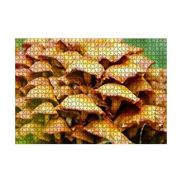 Cakapuzzle Sarı Mantarlar 120 Parça Ahşap Puzzle