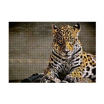 Cakapuzzle Sarı Siyah Beyaz Karışımlı Leopar Görseli 120 Parça Ahşap Puzzle