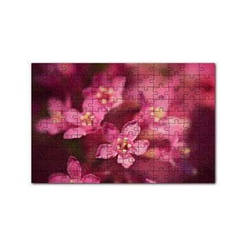 Cakapuzzle Sarı Tohumlu Kırmızı Çiçekler Yakın Çekim 120 Parça Ahşap Puzzle