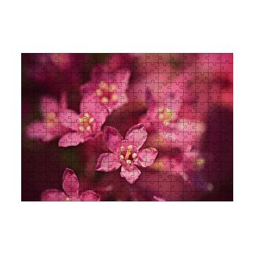 Cakapuzzle Sarı Tohumlu Kırmızı Çiçekler Yakın Çekim 120 Parça Ahşap Puzzle