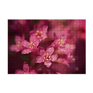 Cakapuzzle Sarı Tohumlu Kırmızı Çiçekler Yakın Çekim 120 Parça Ahşap Puzzle