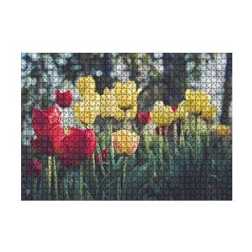 Cakapuzzle Sarı ve Kırmızı Laleler Flu Arkaplan 120 Parça Ahşap Puzzle