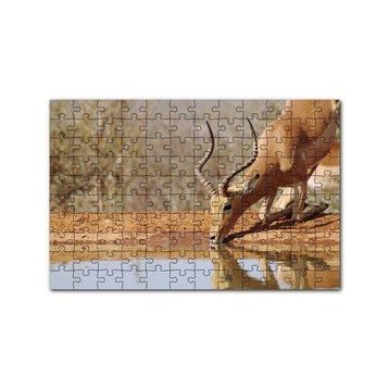 Cakapuzzle Savanada Diz Çökmüş Su İçen İmpala 120 Parça Ahşap Puzzle