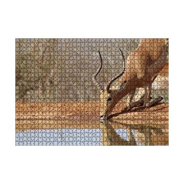 Cakapuzzle Savanada Diz Çökmüş Su İçen İmpala 120 Parça Ahşap Puzzle
