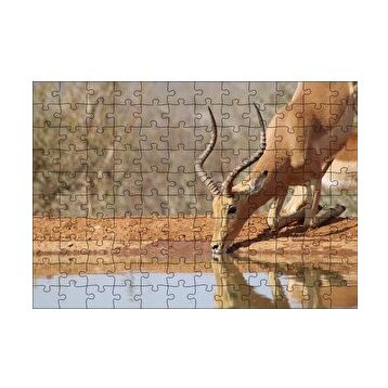 Cakapuzzle Savanada Diz Çökmüş Su İçen İmpala 120 Parça Ahşap Puzzle