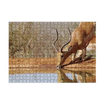 Cakapuzzle Savanada Diz Çökmüş Su İçen İmpala 120 Parça Ahşap Puzzle