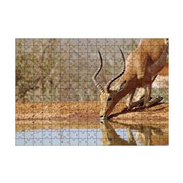 Cakapuzzle Savanada Diz Çökmüş Su İçen İmpala 120 Parça Ahşap Puzzle