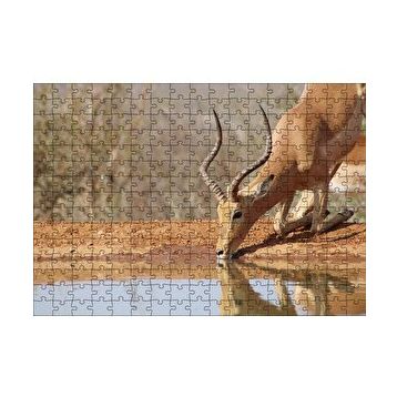 Cakapuzzle Savanada Diz Çökmüş Su İçen İmpala 120 Parça Ahşap Puzzle