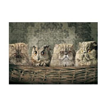 Cakapuzzle Sepetin İçinde Üç Kedi ve Bir Baykuş 120 Parça Ahşap Puzzle