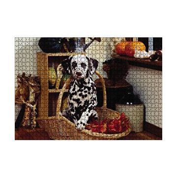 Cakapuzzle Sepetteki Dalmaçyalı 120 Parça Ahşap Puzzle