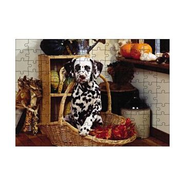 Cakapuzzle Sepetteki Dalmaçyalı 120 Parça Ahşap Puzzle
