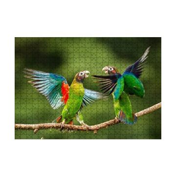 Cakapuzzle Sevda Papağanları 120 Parça Ahşap Puzzle