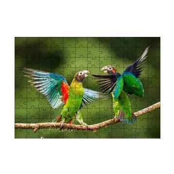 Cakapuzzle Sevda Papağanları 120 Parça Ahşap Puzzle