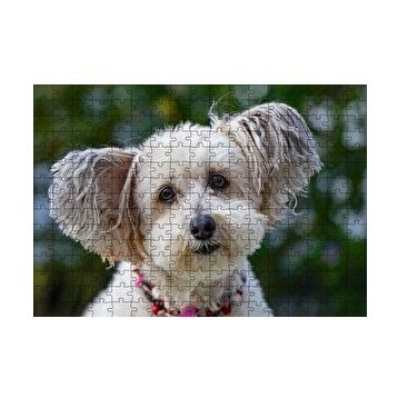 Cakapuzzle Sevimli Beyaz Terrier 120 Parça Ahşap Puzzle