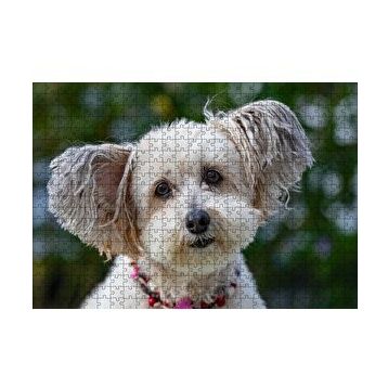 Cakapuzzle Sevimli Beyaz Terrier 120 Parça Ahşap Puzzle