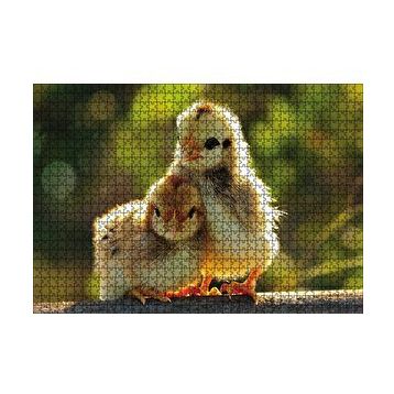 Cakapuzzle Sevimli Civcivler 120 Parça Ahşap Puzzle