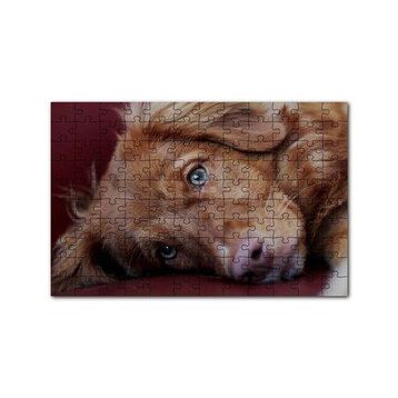 Cakapuzzle Sevimli Kahverengi Köpek Yakın Çekim 120 Parça Ahşap Puzzle