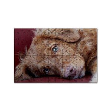 Cakapuzzle Sevimli Kahverengi Köpek Yakın Çekim 120 Parça Ahşap Puzzle