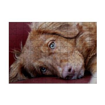 Cakapuzzle Sevimli Kahverengi Köpek Yakın Çekim 120 Parça Ahşap Puzzle