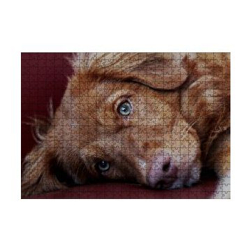 Cakapuzzle Sevimli Kahverengi Köpek Yakın Çekim 120 Parça Ahşap Puzzle
