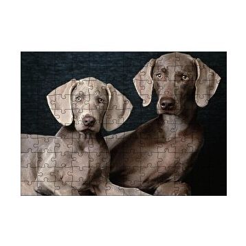 Cakapuzzle Sevimli Kahverengi Weimaranerler 120 Parça Ahşap Puzzle