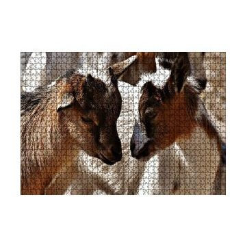 Cakapuzzle Sevimli Oğlaklar Görseli 120 Parça Ahşap Puzzle